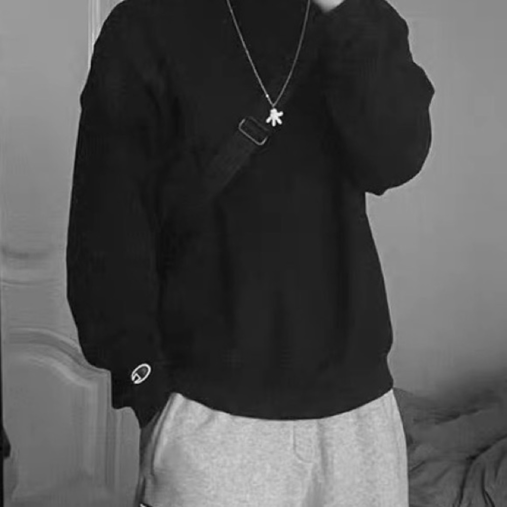 Champion hoodie